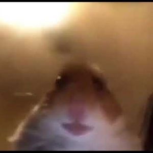 Meet your Posher, Derek